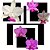 Kit de 3 Cattleya Walkeriana Selecionados Cod 03 - Imagem 1