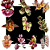 Kit De 10 Catasetum - Oferta Especial - Imagem 1