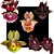 Kit De 5 Catasetum - Cod 2038 - Imagem 1