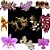 Kit 10 Cattleya E Orquidea Variadas - Ofertas Especial - 01 - Imagem 1