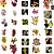 Orquidea Kit 10 Catasetum - Sem Identificação - Promoção - Imagem 1