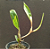 Orquidea Acacalis Hoehne - Imagem 2