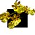 Orquides Oncidium Orthostates - Imagem 1