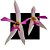 Orquidea Leptotes Pohlitinocoi - Imagem 1