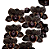 Catasetum FDK Bakers Black Hole - Imagem 1