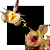 CATASETUM ( JOAO STIVALI X ORCHIDGLADE ) X DF 1060 - Imagem 1