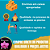 CLOWESIA AMAZONICO X  ROSEA - Imagem 4