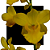 Cyrtopodium glutiniferum - Imagem 1