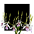Dendrobium antenatum - Imagem 1