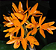 Cattleya aurantiaca - Imagem 1