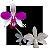 Cattleya Violacea  Ferrari x Alba - Imagem 1