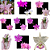 Kit de 10 Cattleya Nobilior sem identificação- cod 2002 - Imagem 1