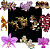 Kit 10 Cattleya E Orquidea Variadas - Mudas e pre adultas - 02 - Imagem 2