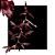 Catasetum Osakadianum Red - muda - Imagem 1