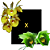 Catasetum Pileatum Amarelo x Expansum - Imagem 1