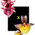 Catasetum Red 1061 x Susan Fuchs Especial - Imagem 1