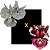 Catasetum Susan Fuchs Claro x yum Yum Golden - Imagem 1
