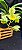 Catasetum Saccatum x Pileatum - Amarelo - Adulta - Imagem 3