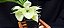 Catasetum Susan Fuchs - Claro -  Adulta - 2 - Imagem 1