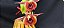 Catasetum Saccatum x Pileatum  - adulto - Imagem 2