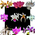 Kit de 10 Orquídeas Especie - Codígo 1009 - Imagem 1
