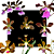 Kit de 08 Orquídeas Encyclias - Codígo 1011 - Imagem 1