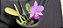 Cattleya Walkeriana Cambara - NT- Adulta cod 2558015 - Imagem 3