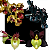 Kit De 4 Catasetum Premium - Cod 01 - Raro - Muda - Imagem 1