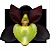 Orquidea Catasetum Tenebrosum - Muda - Imagem 3
