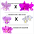 KIT 3 ORQUIDEAS CATTLEYA NOBILIOR MUDAS - COD 10103 - Imagem 2