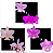 KIT 3 ORQUIDEAS CATTLEYA NOBILIOR MUDAS - COD 10104 - Imagem 1