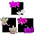 KIT 3 ORQUIDEAS CATTLEYA NOBILIOR MUDAS - COD 10105 - Imagem 1