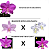 KIT 3 ORQUIDEAS CATTLEYA NOBILIOR MUDAS - COD 10106 - Imagem 2