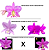KIT 3 ORQUIDEAS CATTLEYA NOBILIOR MUDAS - COD 10107 - Imagem 2