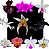 Kit 10 Orquídeas Cattleya Variadas – Cód 4055 - Imagem 1