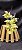 Clowsetum DF Dogmus - Adulta - Imagem 4