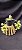 Clowsetum DF Dogmus - Adulta - 2 - Imagem 2