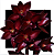 Catasetum Fredclarkeara Morm. Painted Desert - Vinho - Imagem 1