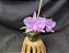 Cattleya Nobilior Labeloide Miragem - Adulto - Imagem 3
