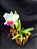Cattleya Final Touche x Mikke Nagata - Adulta - Imagem 4
