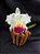 Cattleya Final Touche x Mikke Nagata - Adulta-3 - Imagem 4