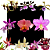 Kit de 10 Orquideas Selecionadas - Cod 10120 - Imagem 1