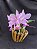 Cattleya Nobilior X Mesquitae - 02 - Adulta - Imagem 1