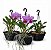 Kit 15 Vasos Cuia Prato 21- Alça: Ideal Para Orquidea,jiboias, E Flores - Imagem 2
