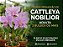 PROMOÇÃO Kit 3 Cattleya Nobilior tipo - Adulta - Oferta - Imagem 2