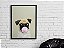 Quadro Decorativo Pug Chiclete - Imagem 2