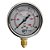 MANOMETRO VERTICAL CAIXA INOX 63MM C/GLICERINA ROSCA BSP 1/4 0 A 100 BAR - Imagem 1