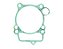 Junta Cilindro Gas Gas Ec 250F 13/15 Gas Gas Ec 300F	13/15 Wrf 250 01/13, Yzf 250 01/13 - Imagem 1