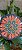 Mandala 15cm Daianedallas - Imagem 6