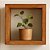 Nicho Decorativo De Parede Rustico Quarto Sala Banheiro 20cm Natural Da Madeira Natural - Imagem 5